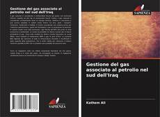 Couverture de Gestione del gas associato al petrolio nel sud dell'Iraq