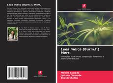 Couverture de Leea indica (Burm.f.) Merr.