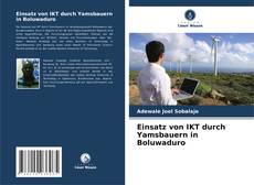 Buchcover von Einsatz von IKT durch Yamsbauern in Boluwaduro