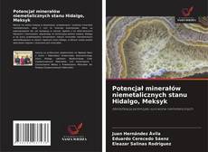 Capa do livro de Potencjał minerałów niemetalicznych stanu Hidalgo, Meksyk 