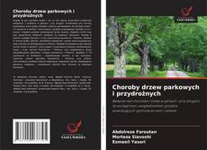 Capa do livro de Choroby drzew parkowych i przydrożnych 