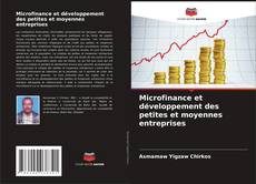 Microfinance et développement des petites et moyennes entreprises的封面