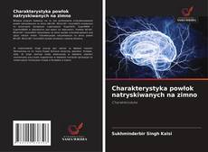 Обложка Charakterystyka powłok natryskiwanych na zimno