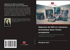 Portada del libro de Dépenses de R&D et croissance économique dans l'Union européenne