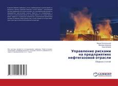 Управление рисками на предприятиях нефтегазовой отрасли kitap kapağı