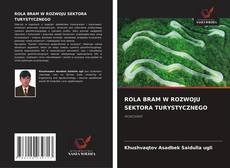 ROLA BRAM W ROZWOJU SEKTORA TURYSTYCZNEGO kitap kapağı