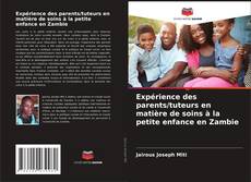 Bookcover of Expérience des parents/tuteurs en matière de soins à la petite enfance en Zambie