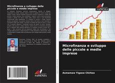 Microfinanza e sviluppo delle piccole e medie imprese kitap kapağı