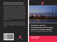 Estruturas nano de óxido/hidróxido de ferro para remoção de metais pesados的封面