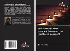 Copertina di Efficienza degli agenti sbiancanti fluorescenti nei rivestimenti pigmentati