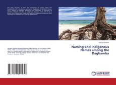 Buchcover von Naming and indigenous Names among the Dagbamba