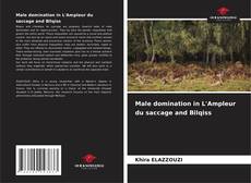 Обложка Male domination in L'Ampleur du saccage and Bilqiss