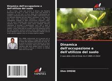Buchcover von Dinamica dell'occupazione e dell'utilizzo del suolo