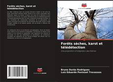 Forêts sèches, karst et télédétection的封面