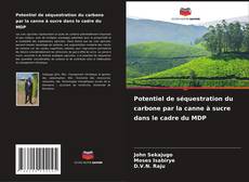 Potentiel de séquestration du carbone par la canne à sucre dans le cadre du MDP的封面