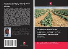 Обложка Efeitos das culturas de cobertura - adubo verde no rendimento da couve (B. oleracea)