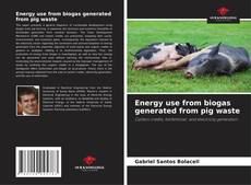 Copertina di Energy use from biogas generated from pig waste