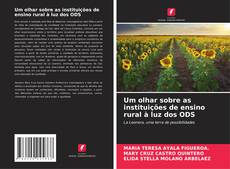 Обложка Um olhar sobre as instituições de ensino rural à luz dos ODS
