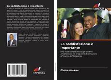 Buchcover von La soddisfazione è importante