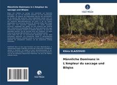 Bookcover of Männliche Dominanz in L'Ampleur du saccage und Bilqiss