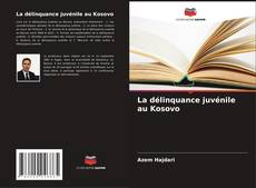 Bookcover of La délinquance juvénile au Kosovo