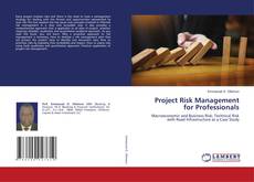Project Risk Management for Professionals kitap kapağı