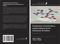 Portada del libro de Perspectivas estructurales y antimicrobianas de las hidrazonas de tiofeno