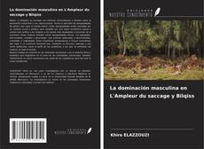 Capa do livro de La dominación masculina en L'Ampleur du saccage y Bilqiss 