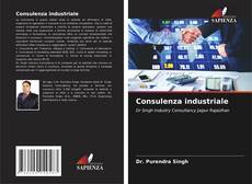 Consulenza industriale kitap kapağı