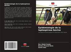 Buchcover von Épidémiologie de la leptospirose bovine