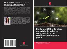 Copertina di Efeito do NPK e do zinco na saúde do solo, no crescimento e no rendimento da grama preta