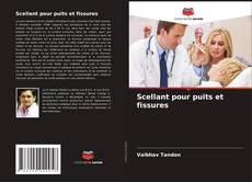 Buchcover von Scellant pour puits et fissures
