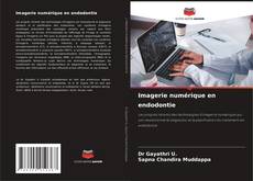 Copertina di Imagerie numérique en endodontie