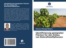 Capa do livro de Identifizierung geeigneter Flächen für den Anbau von Biokraftstoffpflanzen 