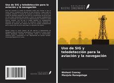 Uso de SIG y teledetección para la aviación y la navegación的封面