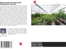 Planta medicinal Bhui Amla (Phylanthus amarus)的封面