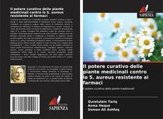 Borítókép a  Il potere curativo delle piante medicinali contro lo S. aureus resistente ai farmaci - hoz