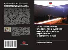 Bookcover of Dans la nature des phénomènes physiques avec un observateur expérimenté : Électrodynamique