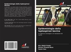 Epidemiologia della leptospirosi bovina的封面
