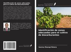 Portada del libro de Identificación de zonas adecuadas para el cultivo de biocarburantes