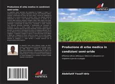 Produzione di erba medica in condizioni semi-aride的封面