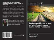 Borítókép a  Contaminación por cromo en muestras de agua, suelo, frutas y verduras - hoz