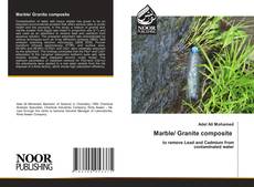 Bookcover of Marble/ Granite composite