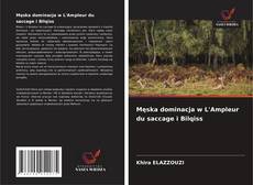 Capa do livro de Męska dominacja w L'Ampleur du saccage i Bilqiss 