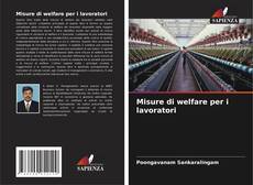 Copertina di Misure di welfare per i lavoratori