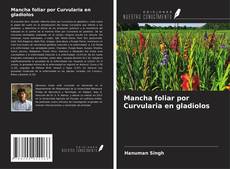 Borítókép a  Mancha foliar por Curvularia en gladiolos - hoz