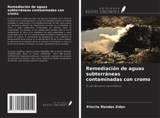 Copertina di Remediación de aguas subterráneas contaminadas con cromo
