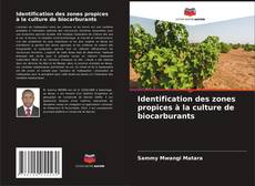 Copertina di Identification des zones propices à la culture de biocarburants
