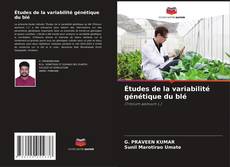 Études de la variabilité génétique du blé的封面