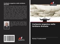 Couverture de Carbonio organico nelle torbiere drenate